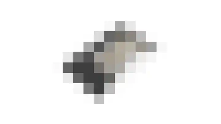 Achterste Weide 64 Duiven thumbnail 44
