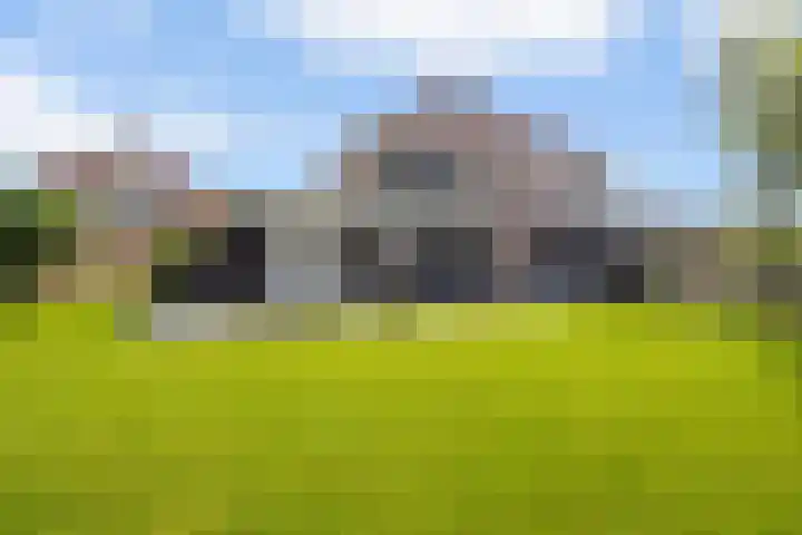 Achterste Weide 64 Duiven thumbnail 47