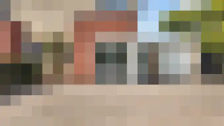 Achterste Weide 64 Duiven thumbnail 6