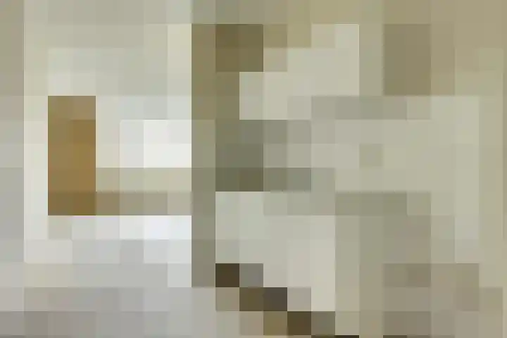 Achtersteven 25 Amsterdam thumbnail 18