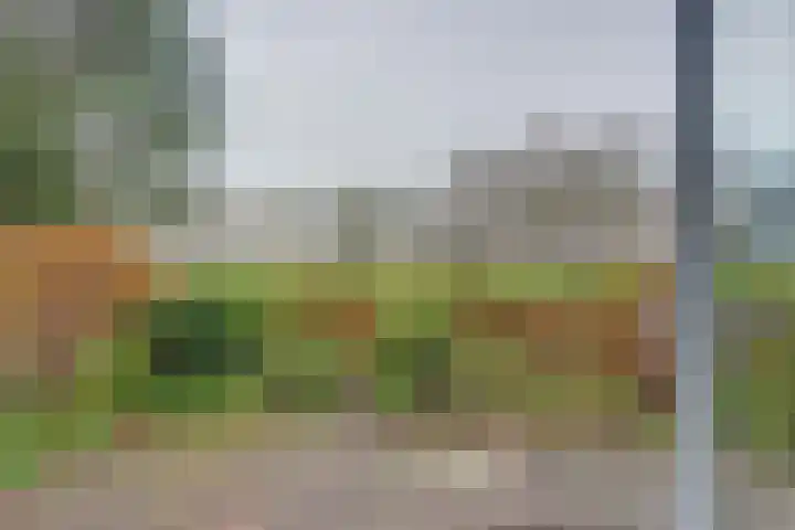 Achtersteven 25 Amsterdam thumbnail 23