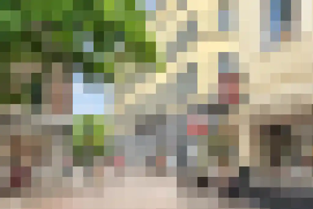 Achterstraat 14 Culemborg thumbnail 12