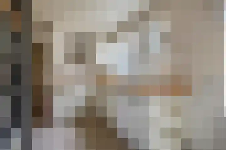 Achterstraat 14 Culemborg thumbnail 15