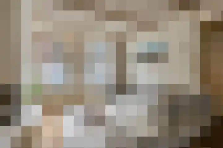 Achterstraat 14 Culemborg thumbnail 8