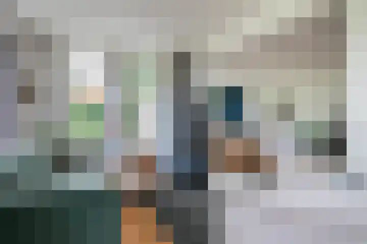 Achterstraat 16 Den Hout thumbnail 11