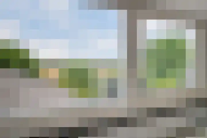 Achterstraat 16 Den Hout thumbnail 25