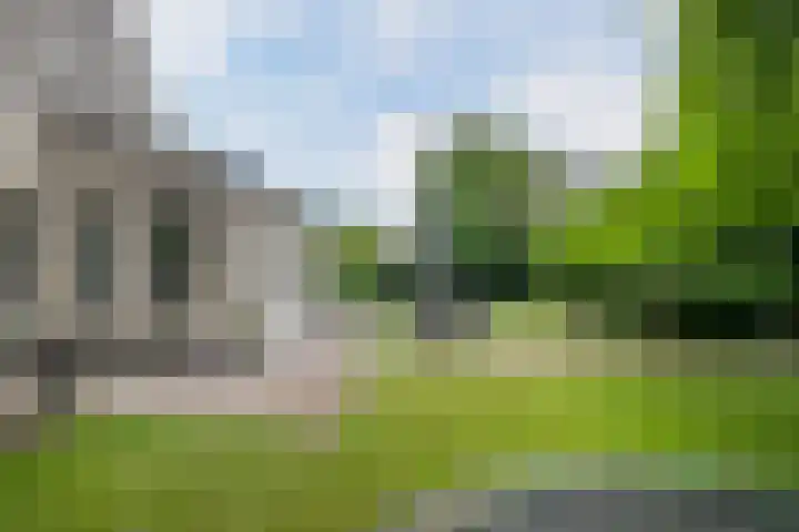 Achterstraat 16 Den Hout thumbnail 31
