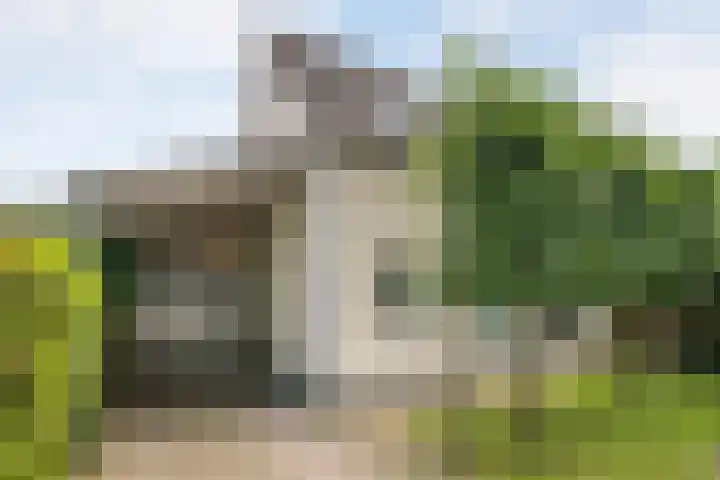 Achterstraat 16 Den Hout thumbnail 32