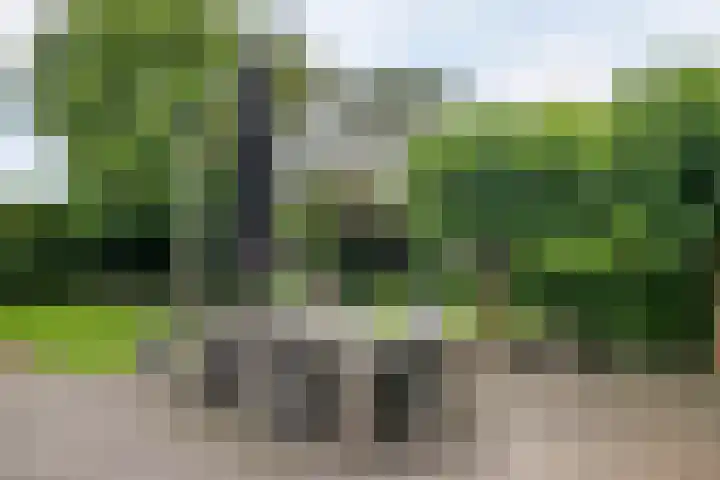 Achterstraat 16 Den Hout thumbnail 33
