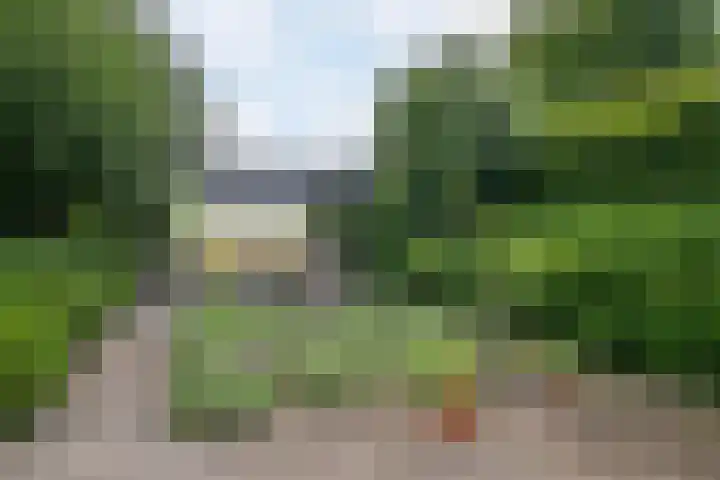 Achterstraat 16 Den Hout thumbnail 35