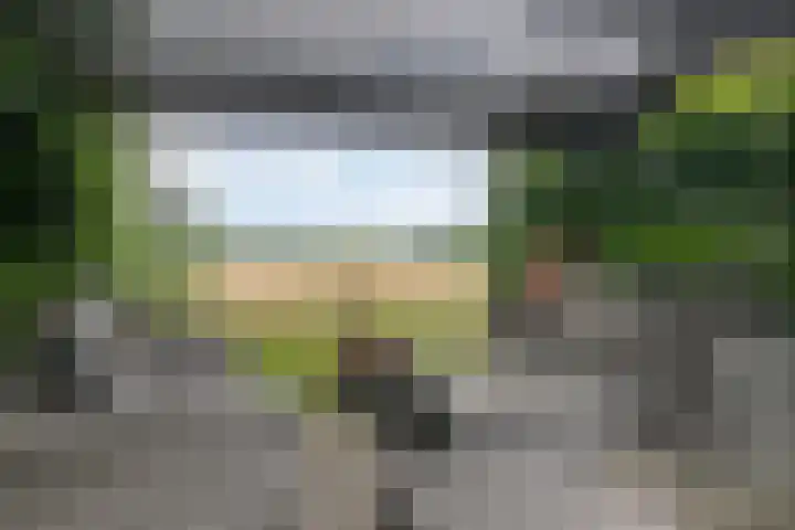 Achterstraat 16 Den Hout thumbnail 36