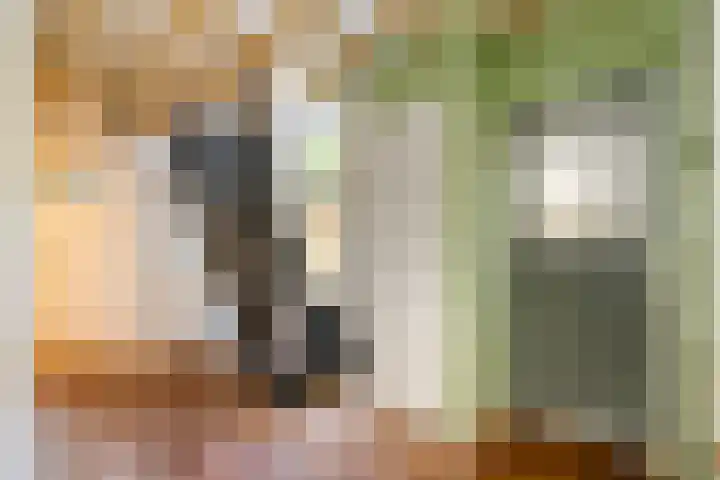 Achterstraat 16 Lekkerkerk thumbnail 13