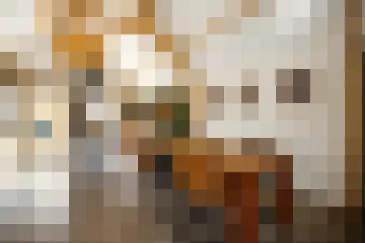 Achterstraat 16 Lekkerkerk thumbnail 17