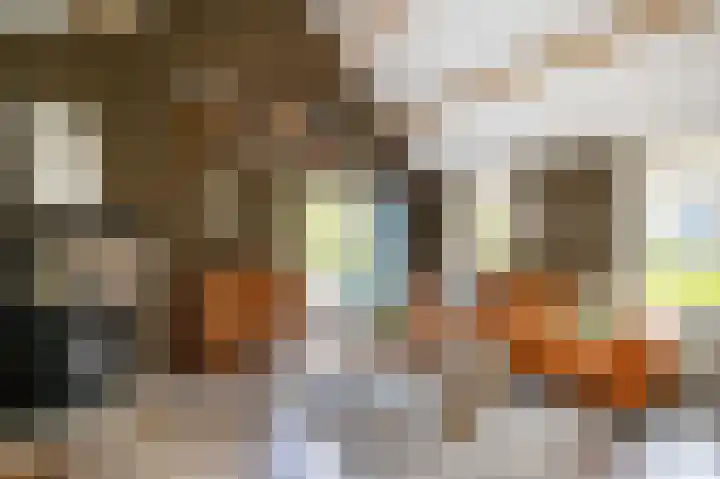 Achterstraat 16 Lekkerkerk thumbnail 21