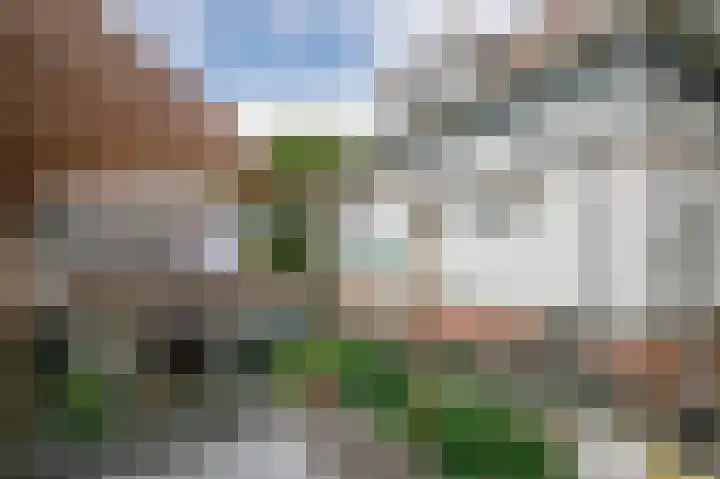 Achterstraat 16 Lekkerkerk thumbnail 24