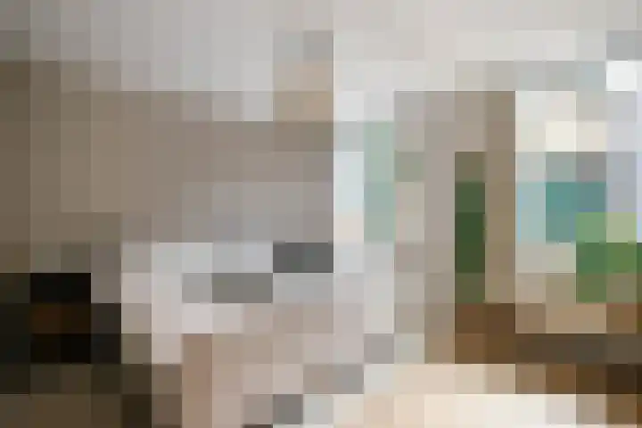 Achterstraat 16 Lekkerkerk thumbnail 6