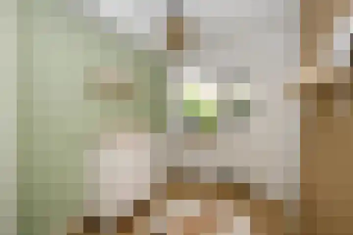 Achterstraat 16 Lekkerkerk thumbnail 8