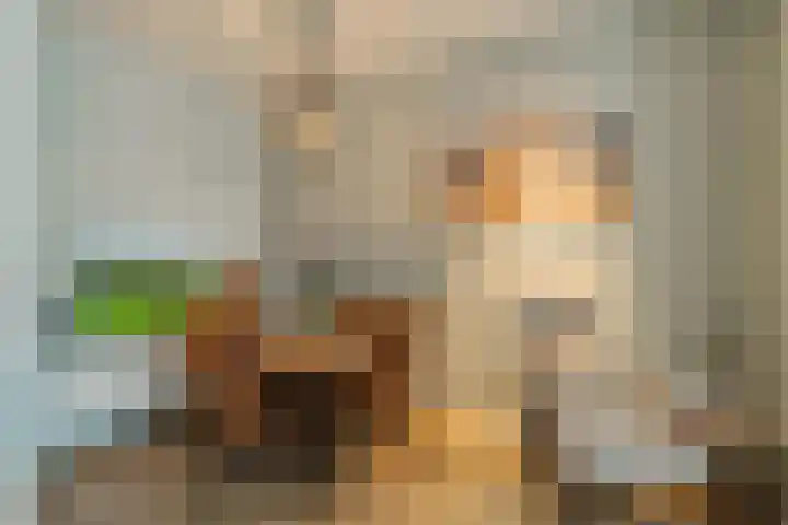 Achterstraat 20 Lekkerkerk thumbnail 10