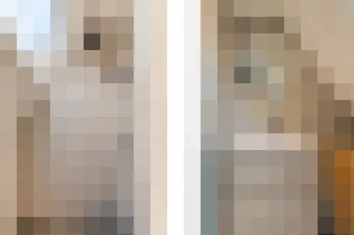 Achterstraat 20 Lekkerkerk thumbnail 12