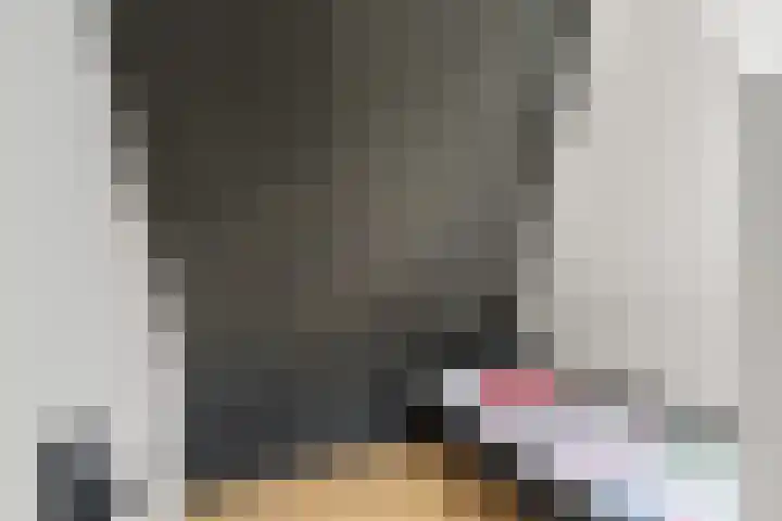 Achterstraat 20 Lekkerkerk thumbnail 18