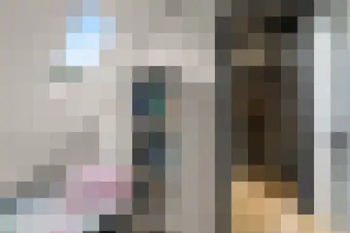 Achterstraat 20 Lekkerkerk thumbnail 19