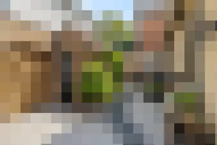 Achterstraat 20 Lekkerkerk thumbnail 20