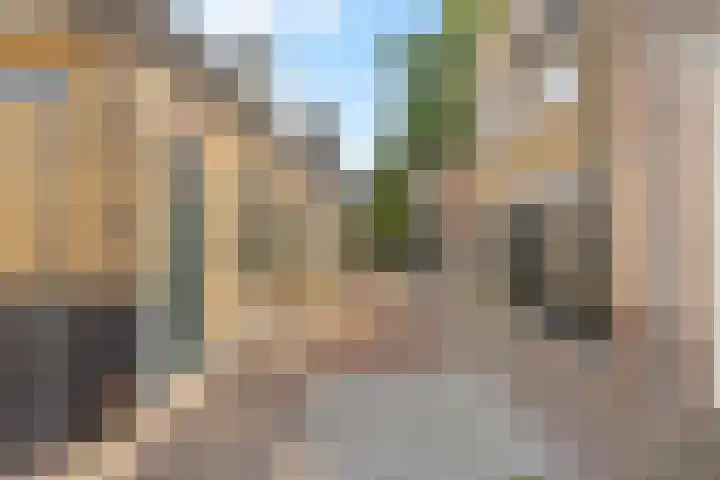 Achterstraat 20 Lekkerkerk thumbnail 25