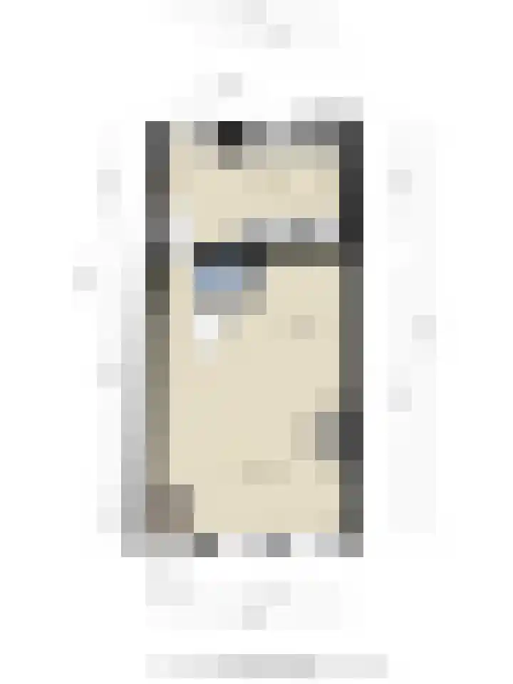 Achterstraat 20 Lekkerkerk thumbnail 26