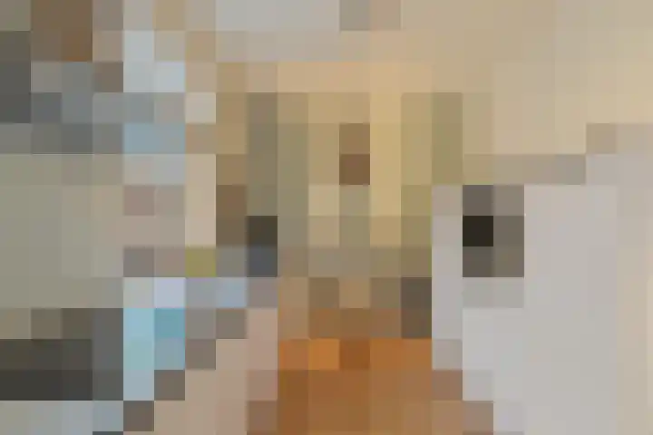 Achterstraat 20 Lekkerkerk thumbnail 4