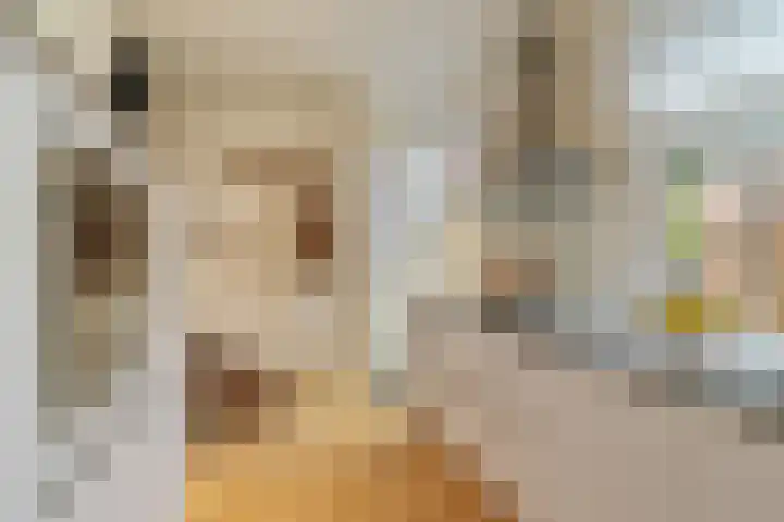 Achterstraat 20 Lekkerkerk thumbnail 5