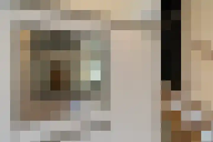 Achterstraat 20 Lekkerkerk thumbnail 7