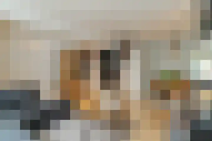 Achterstraat 20 Lekkerkerk thumbnail 8