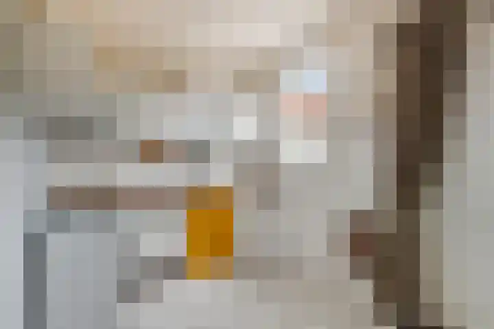 Achterstraat 21 Lamswaarde thumbnail 14