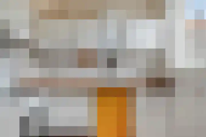 Achterstraat 21 Lamswaarde thumbnail 15