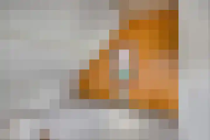 Achterstraat 21 Lamswaarde thumbnail 25