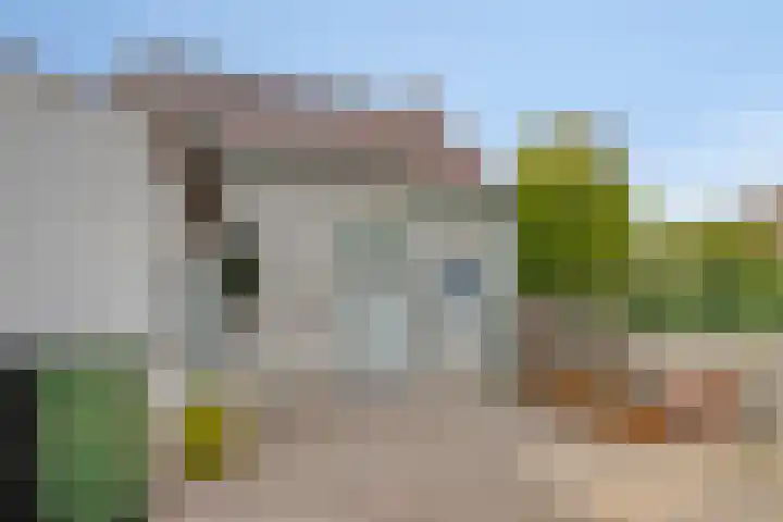 Achterstraat 21 Lamswaarde thumbnail 27