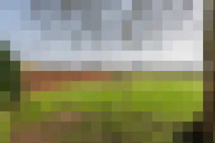 Achterstraat 24 Varik thumbnail 10