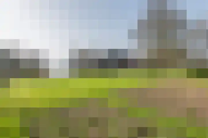 Achterstraat 24 Varik thumbnail 11