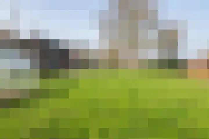 Achterstraat 24 Varik thumbnail 12