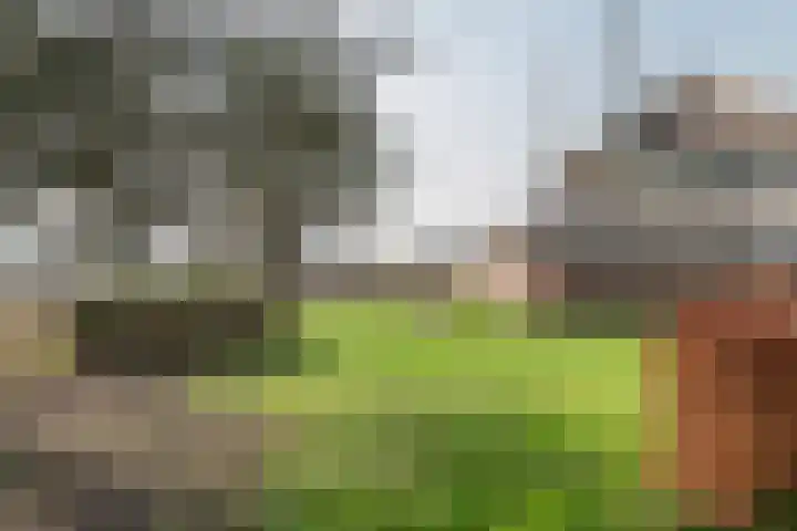 Achterstraat 24 Varik thumbnail 13