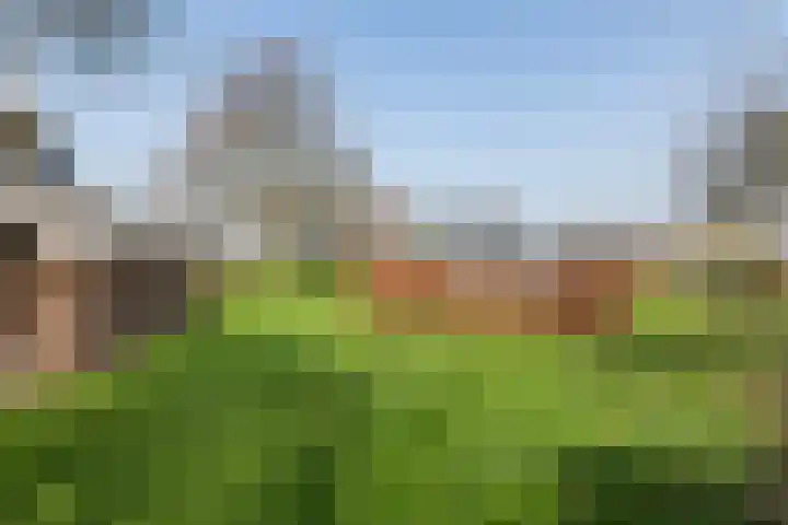 Achterstraat 24 Varik thumbnail 14