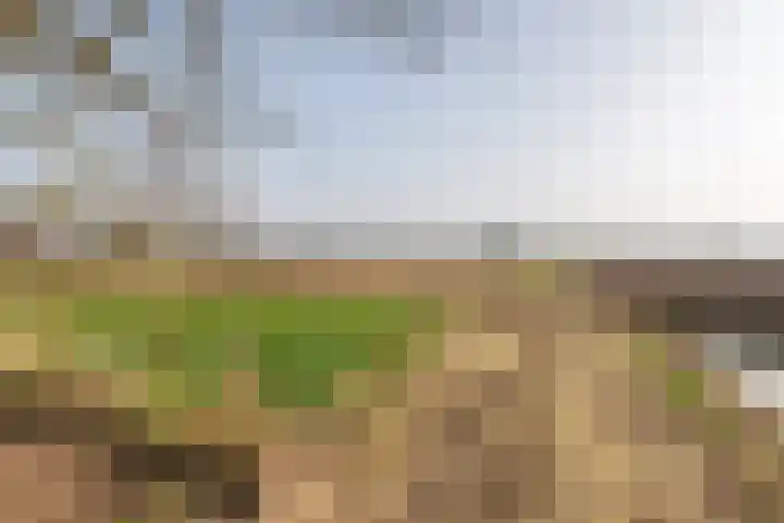 Achterstraat 24 Varik thumbnail 15