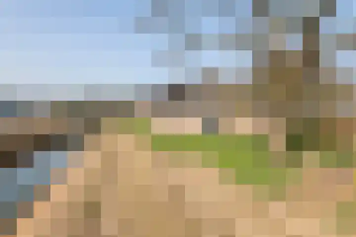 Achterstraat 24 Varik thumbnail 16