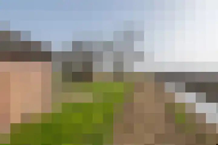 Achterstraat 24 Varik thumbnail 18