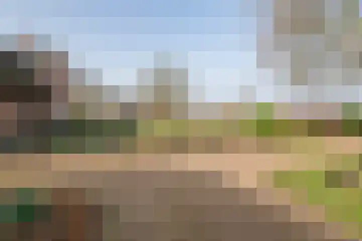 Achterstraat 24 Varik thumbnail 19