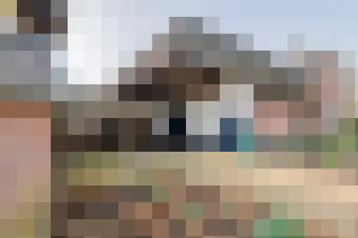 Achterstraat 24 Varik thumbnail 20