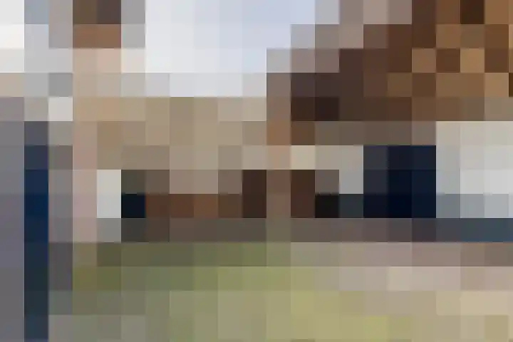 Achterstraat 24 Varik thumbnail 21