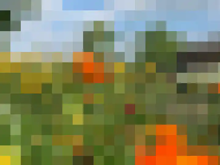 Achterstraat 24 Varik thumbnail 23