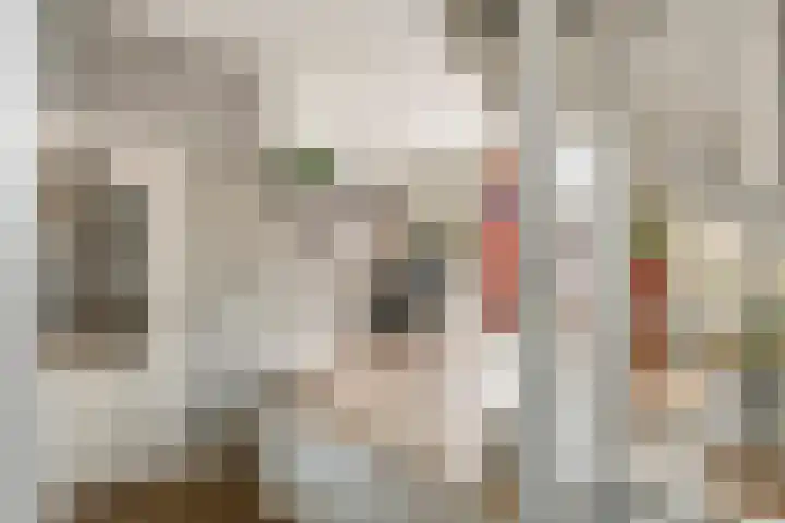 Achterstraat 24 Varik thumbnail 25