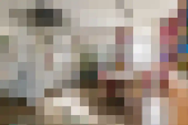 Achterstraat 24 Varik thumbnail 31